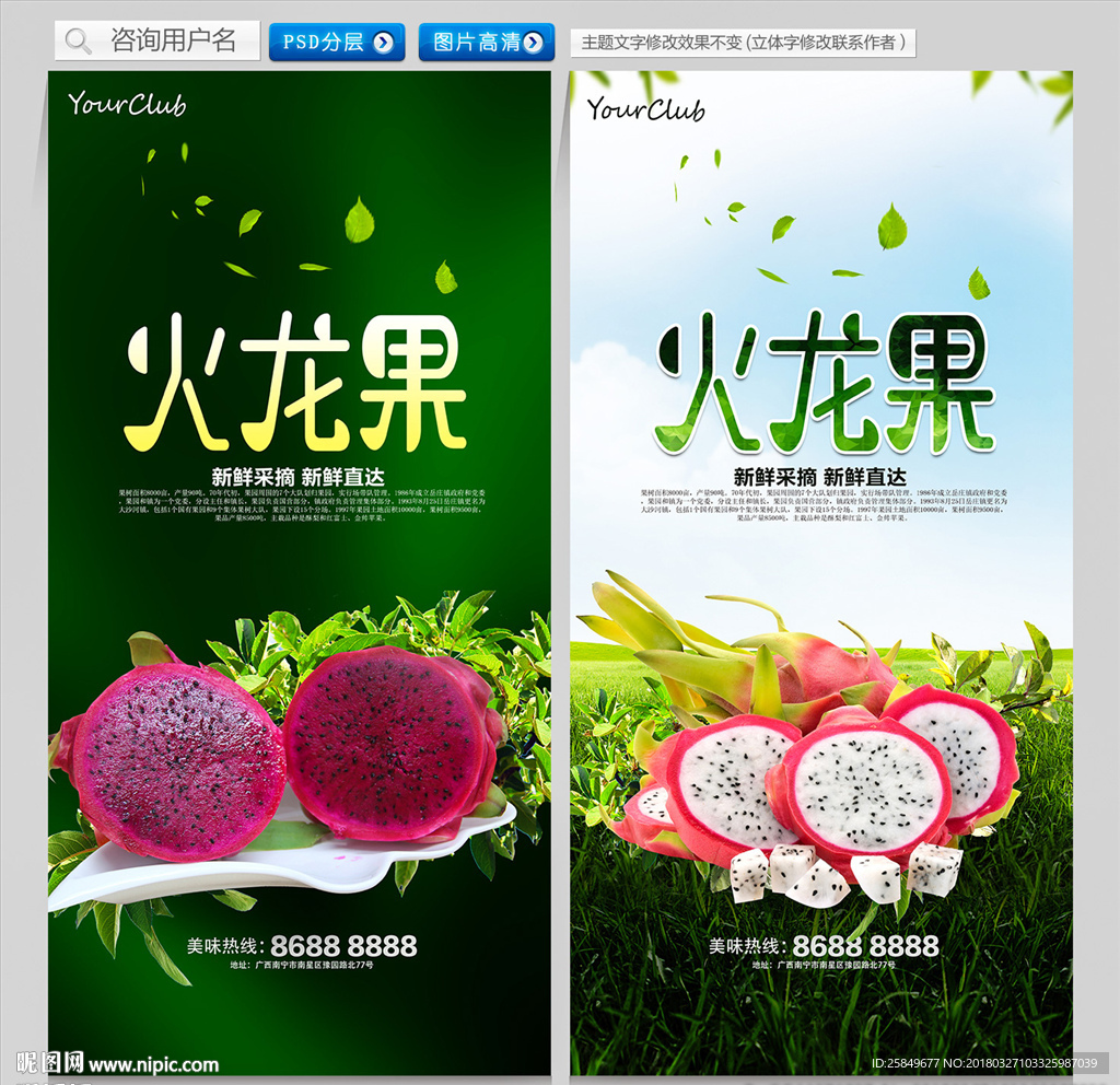 火龙果