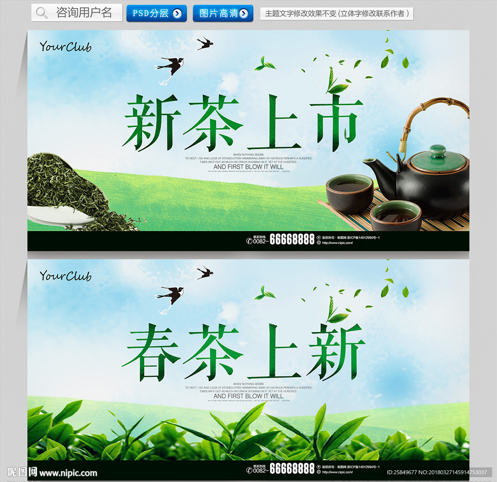 春茶上新