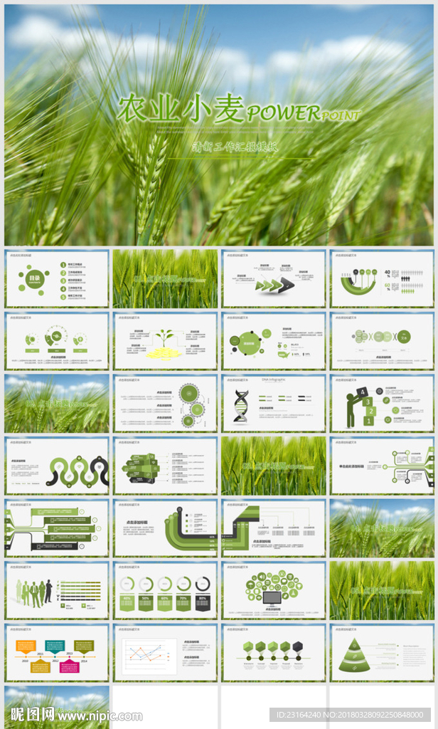 绿色农业种植科技粮食作物生产