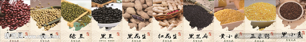 黄豆海报  黑豆海报