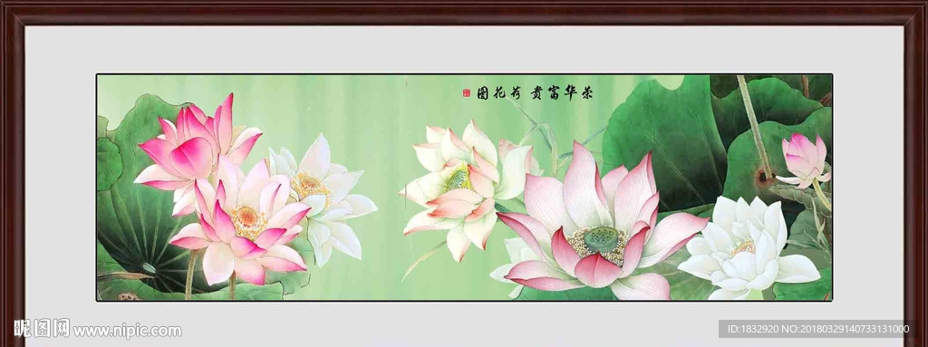 荷花