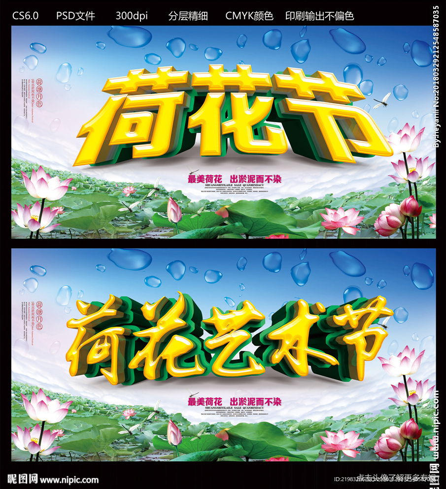 荷花节