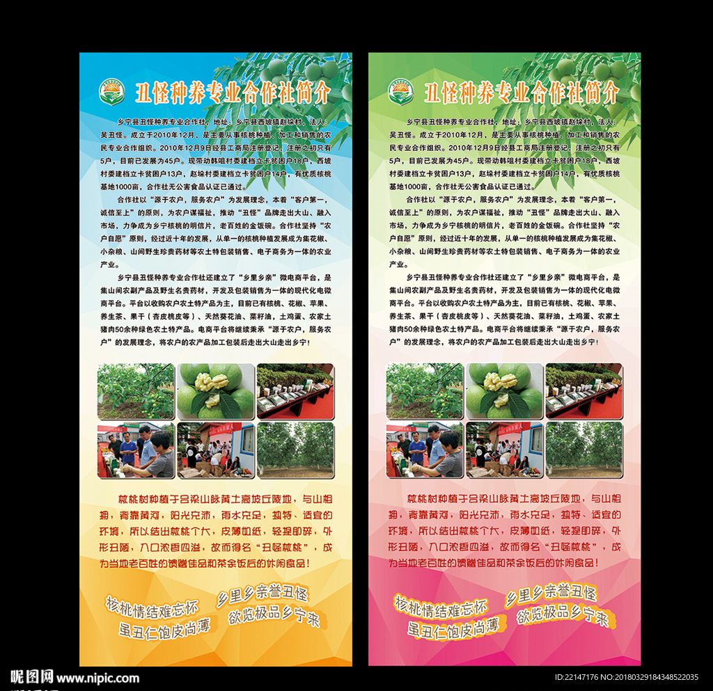 x展架