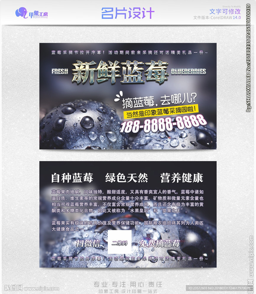 新鲜蓝莓采摘名片卡片