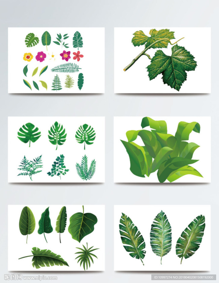 植物叶子树叶芭蕉叶ai元素图案