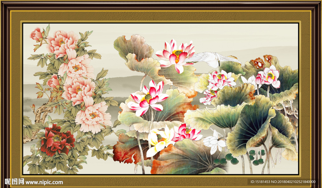 荷花图