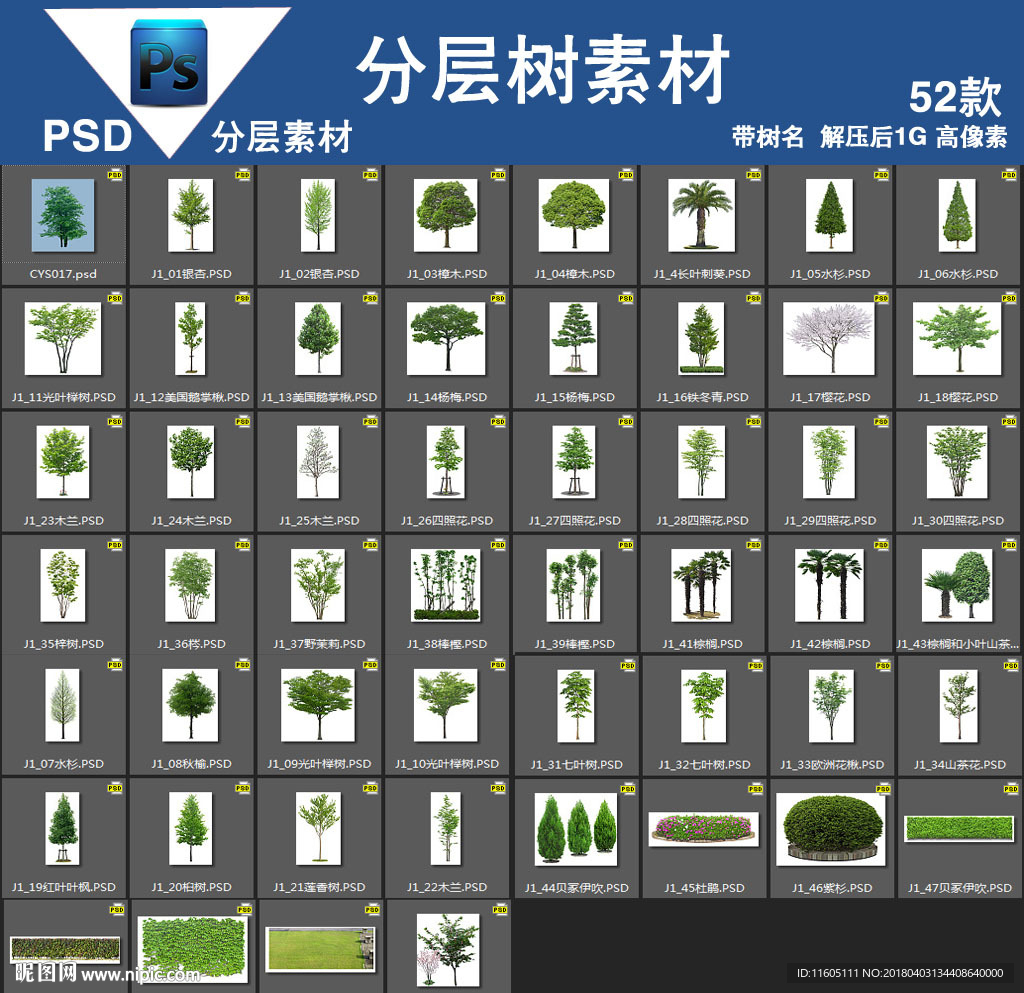 52款psd树分层高清带树名