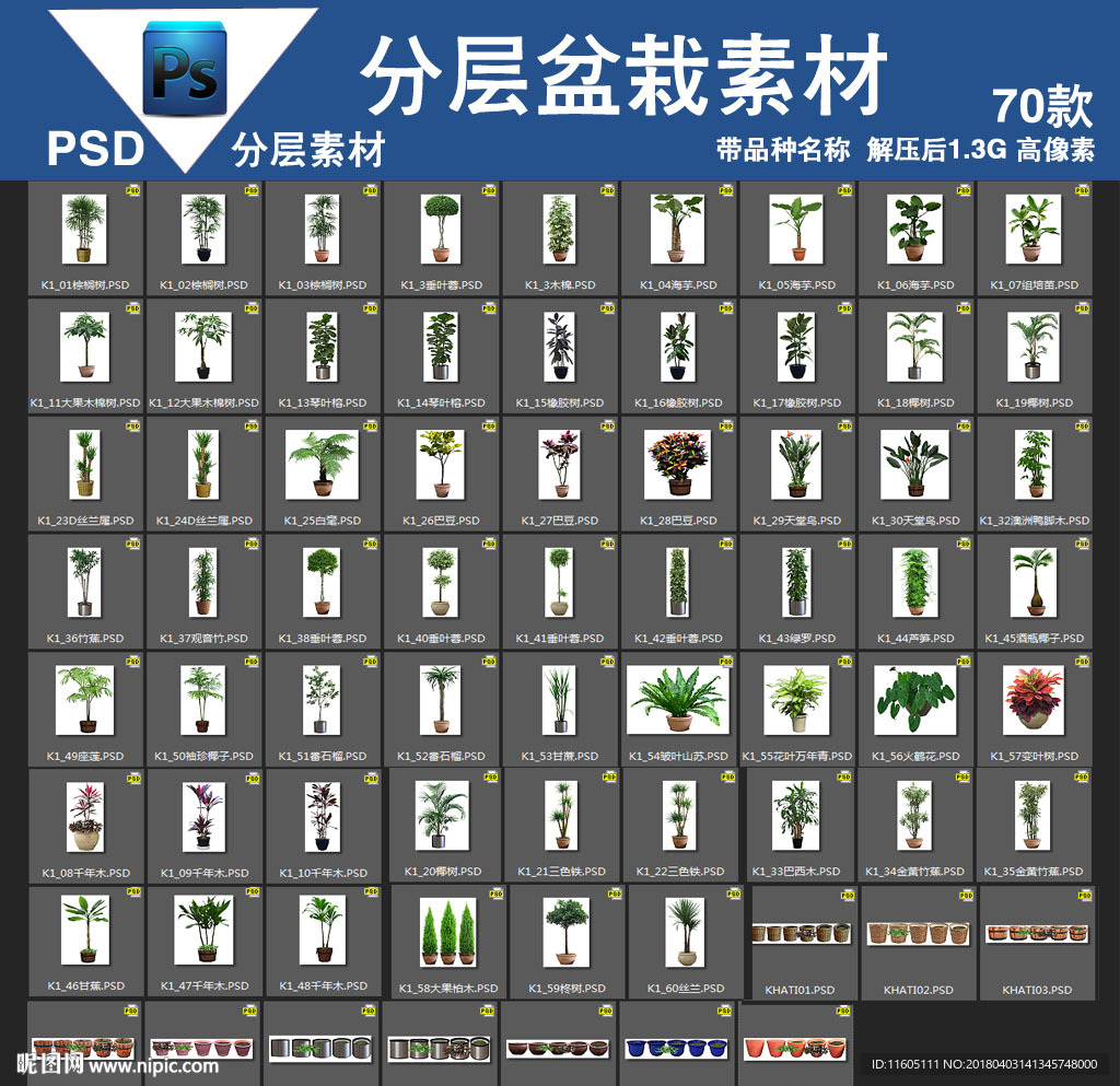 80款psd盆栽分层高清带名称