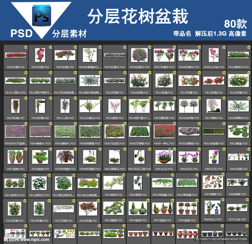 80款psd花树盆栽高清带名称