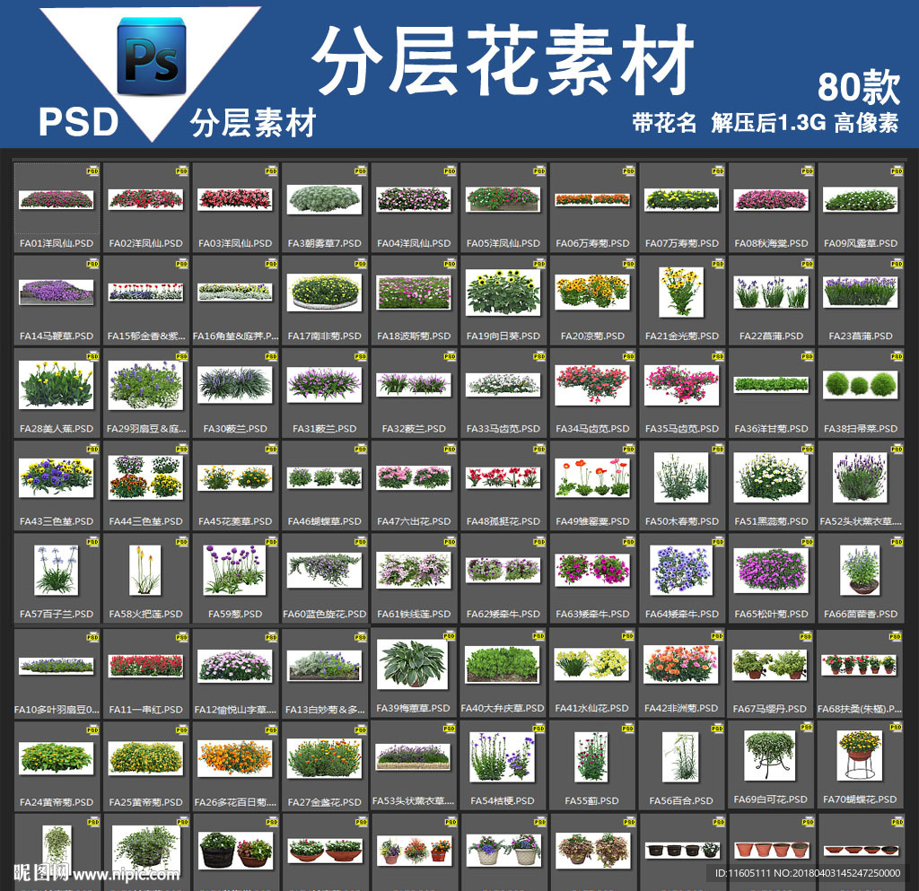80款psd花分层高清带花名