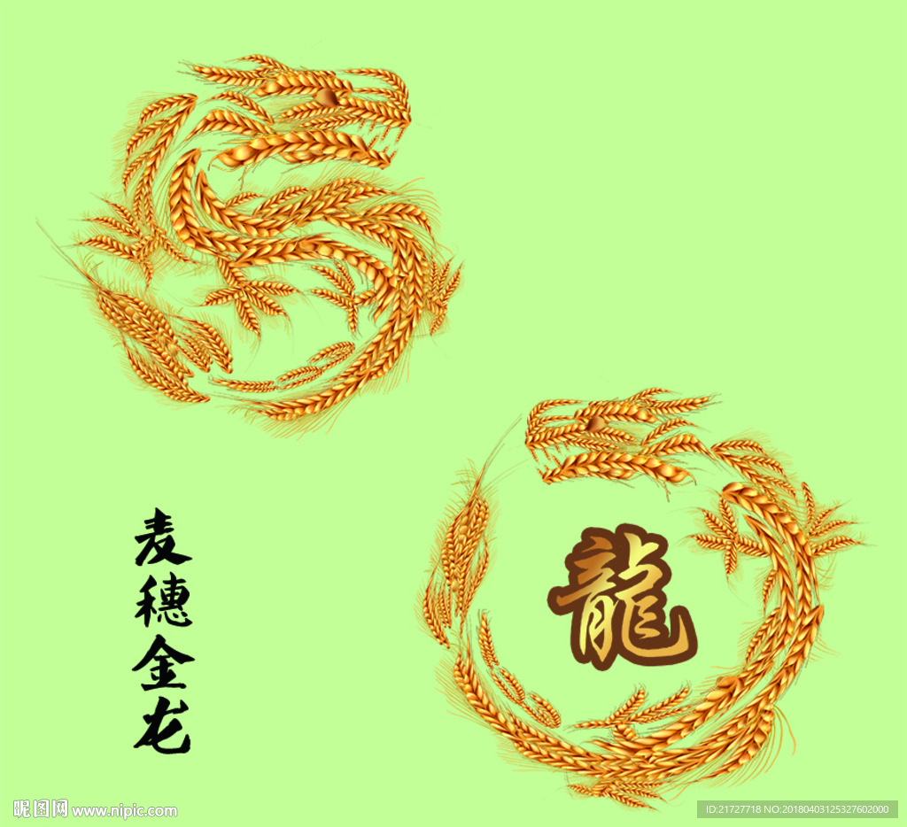麦穗龙