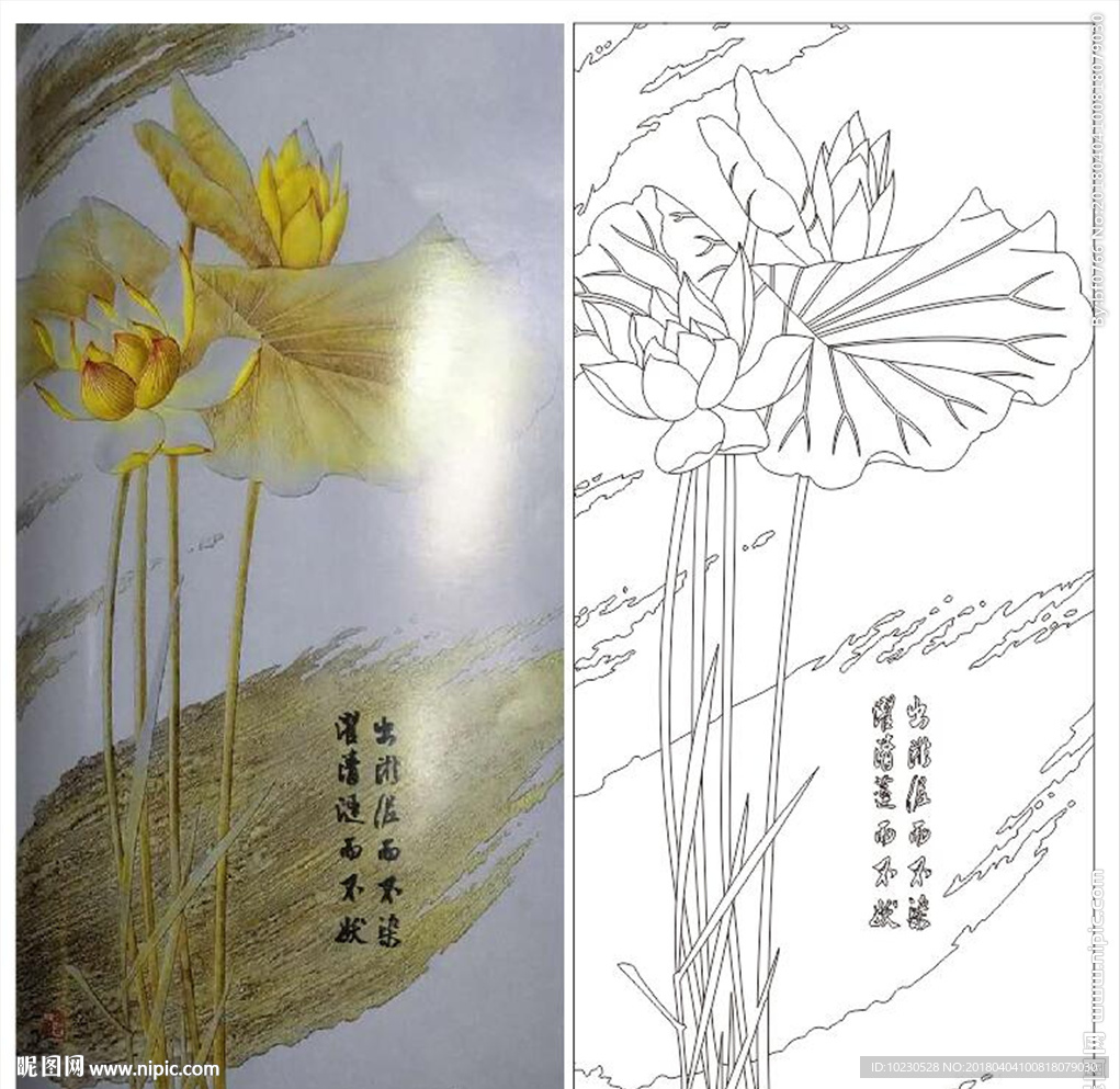 荷花