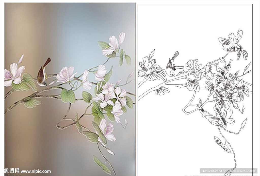 花鸟