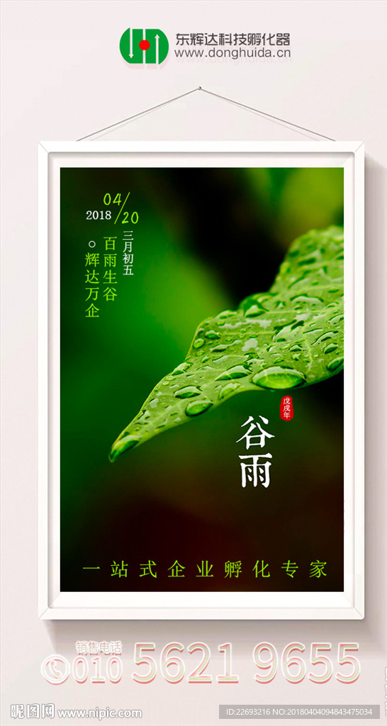 谷雨海报