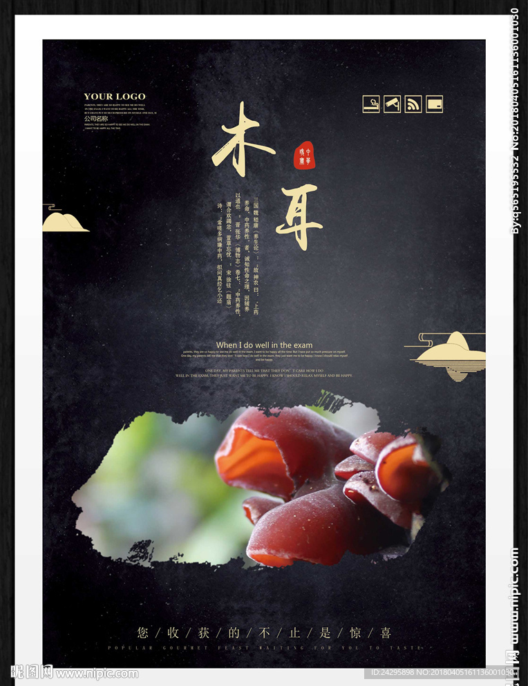 木耳