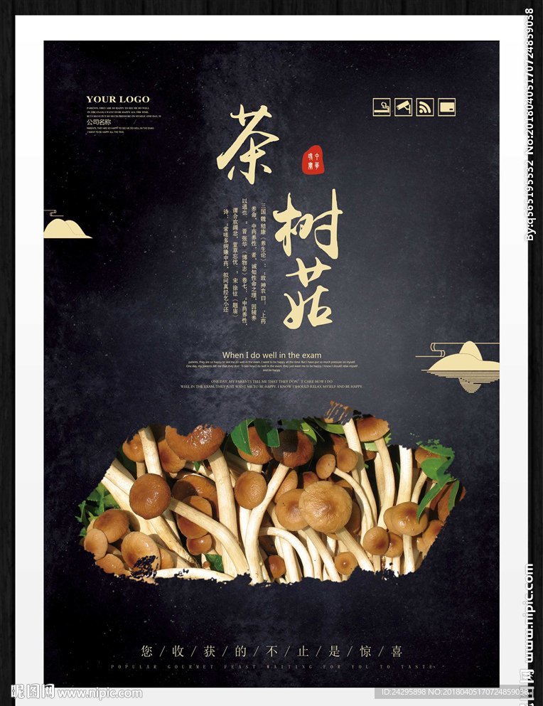茶树菇