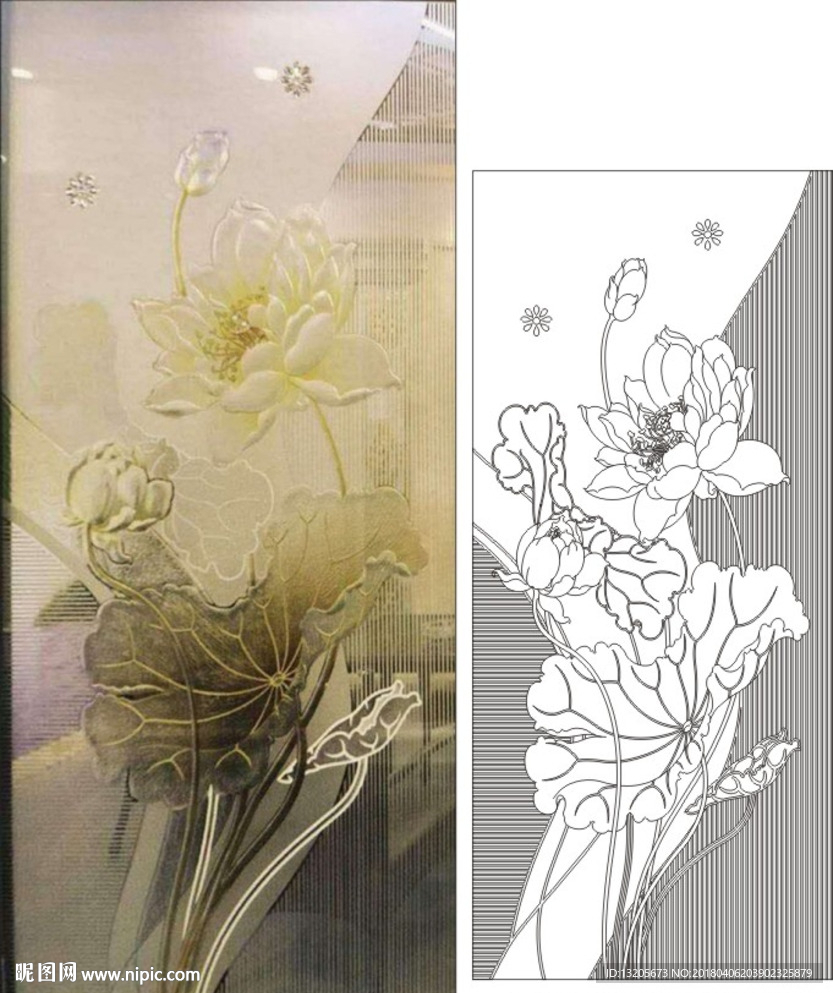 荷花