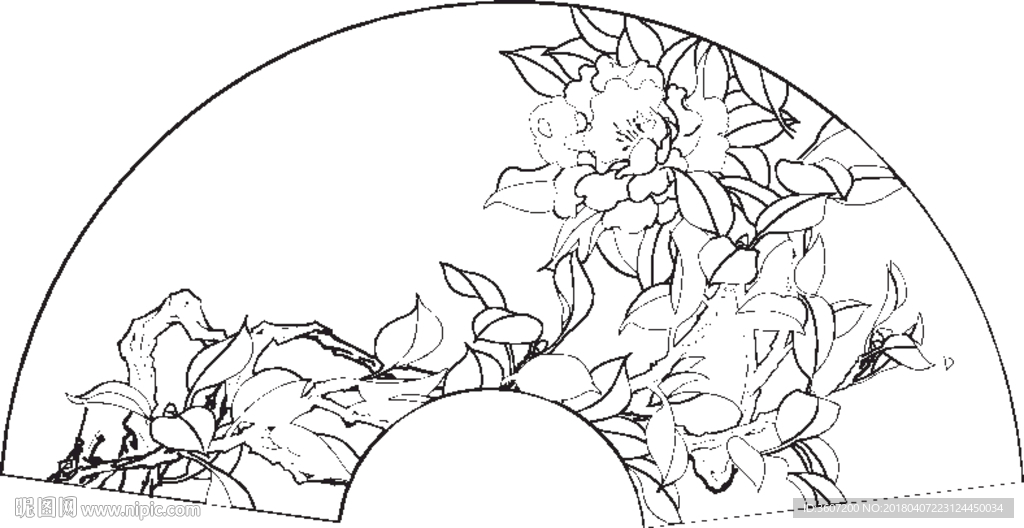 茶花 白描 素描 线描 国画