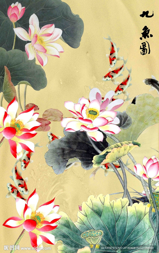 玄关荷花