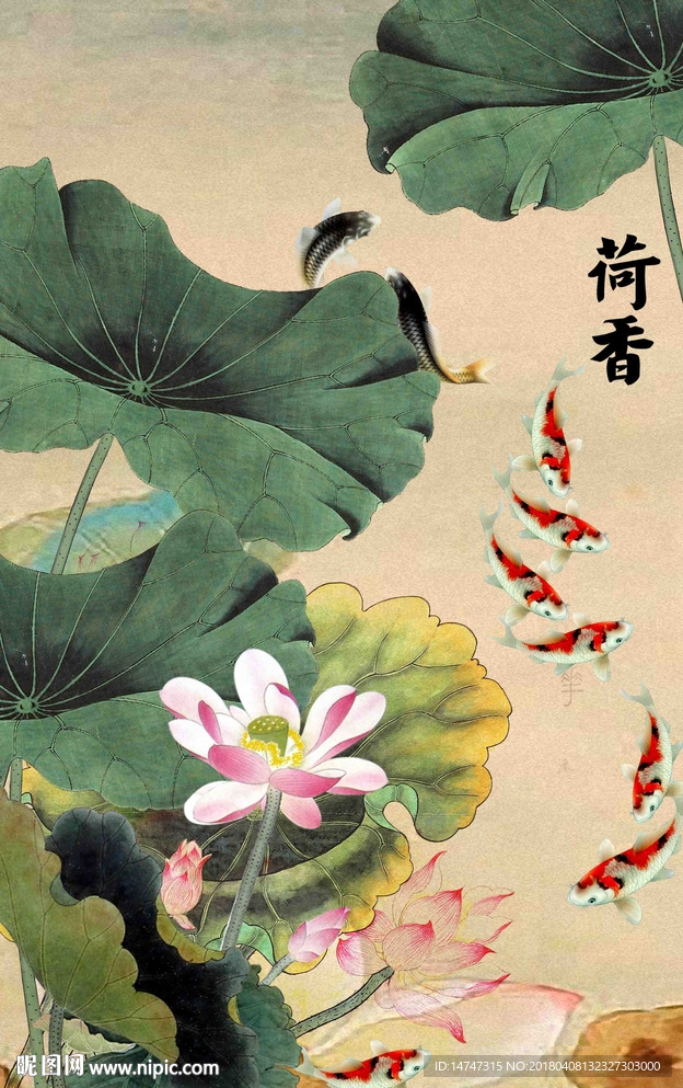 玄关荷花