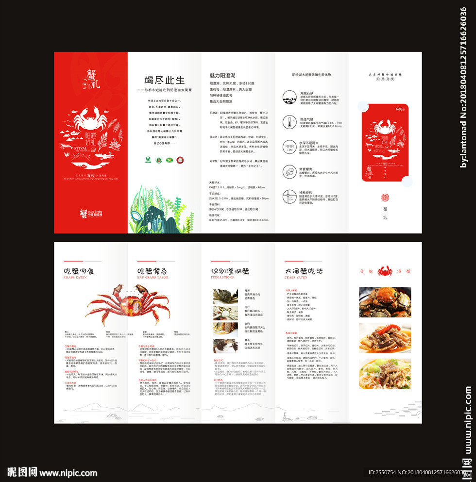大闸蟹宣传册