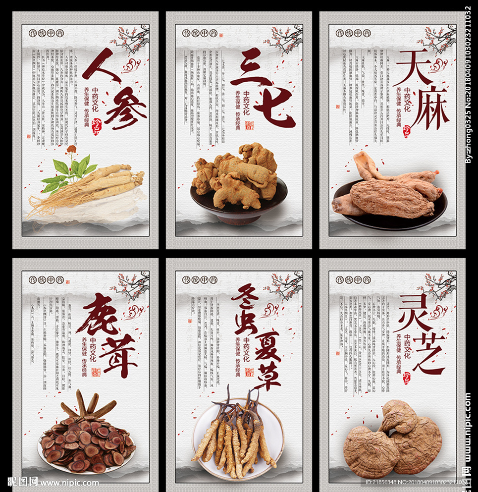 中药展板