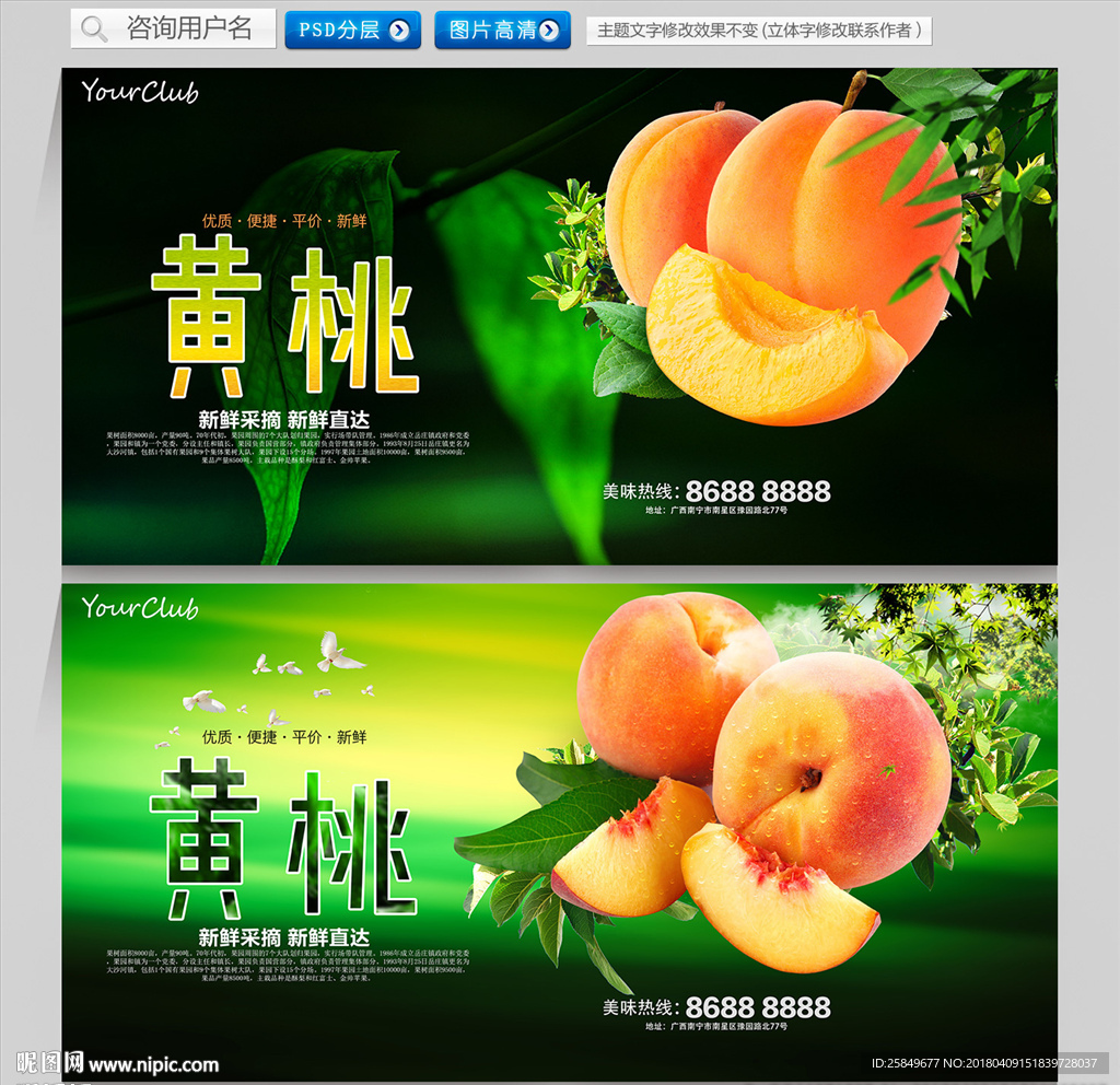 黄桃