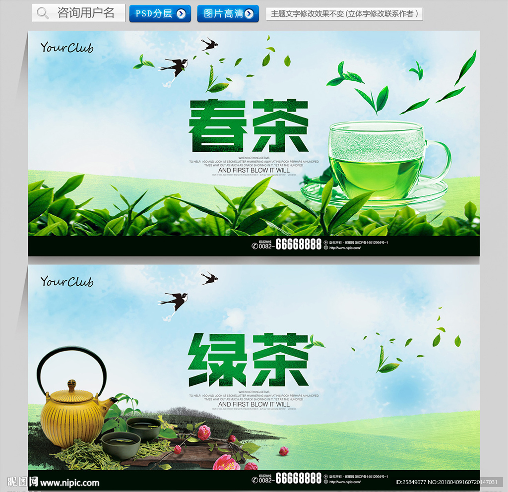 春茶