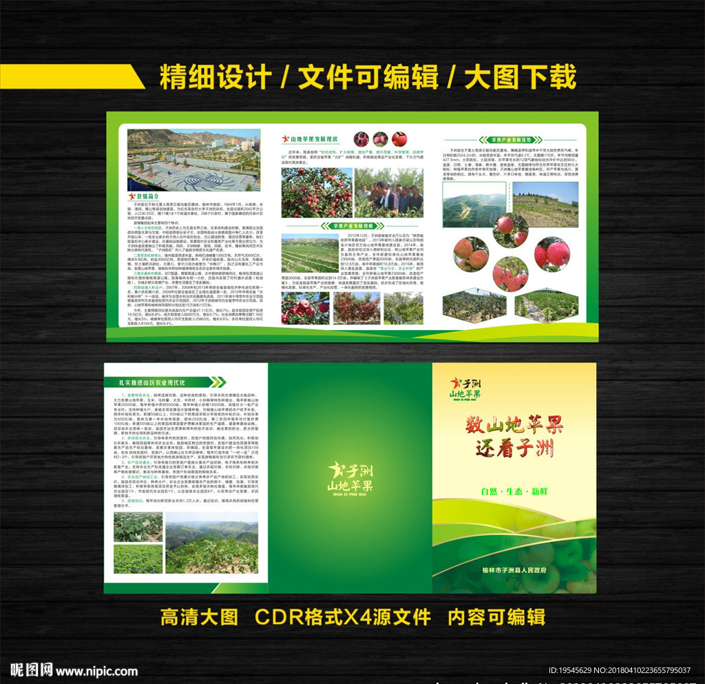 山地苹果宣传折页