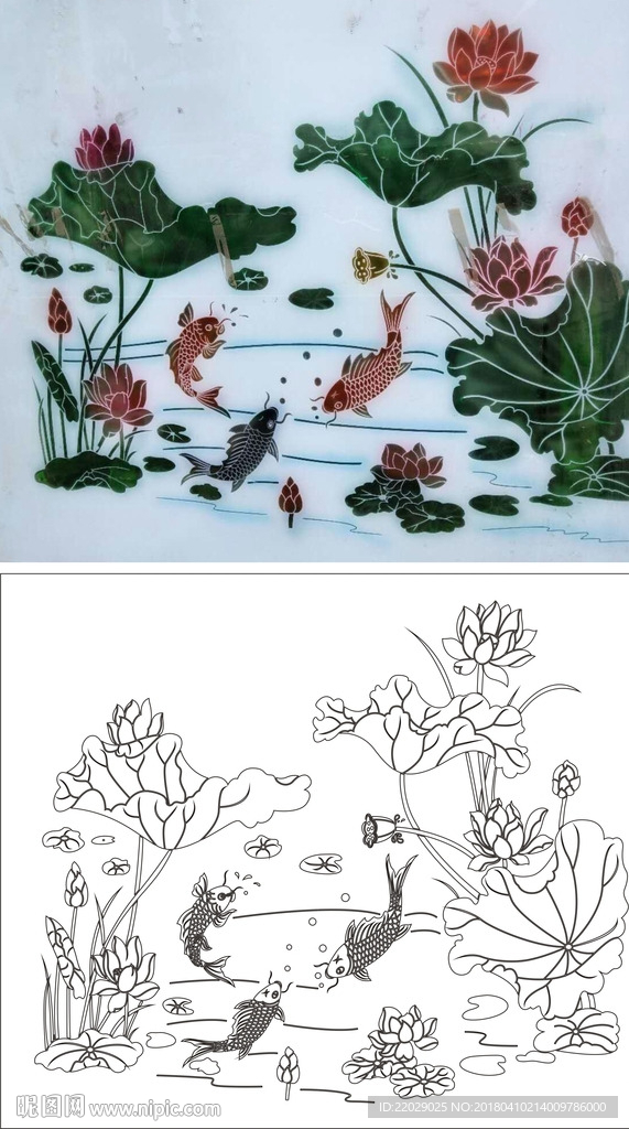 荷花鱼