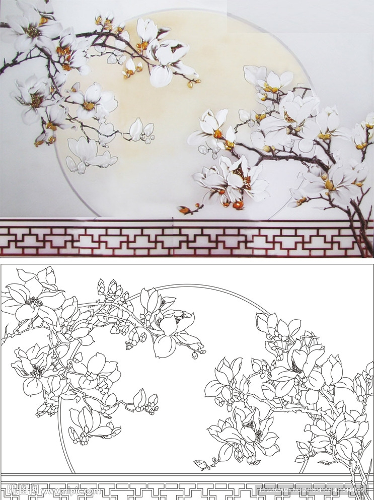 玉兰花