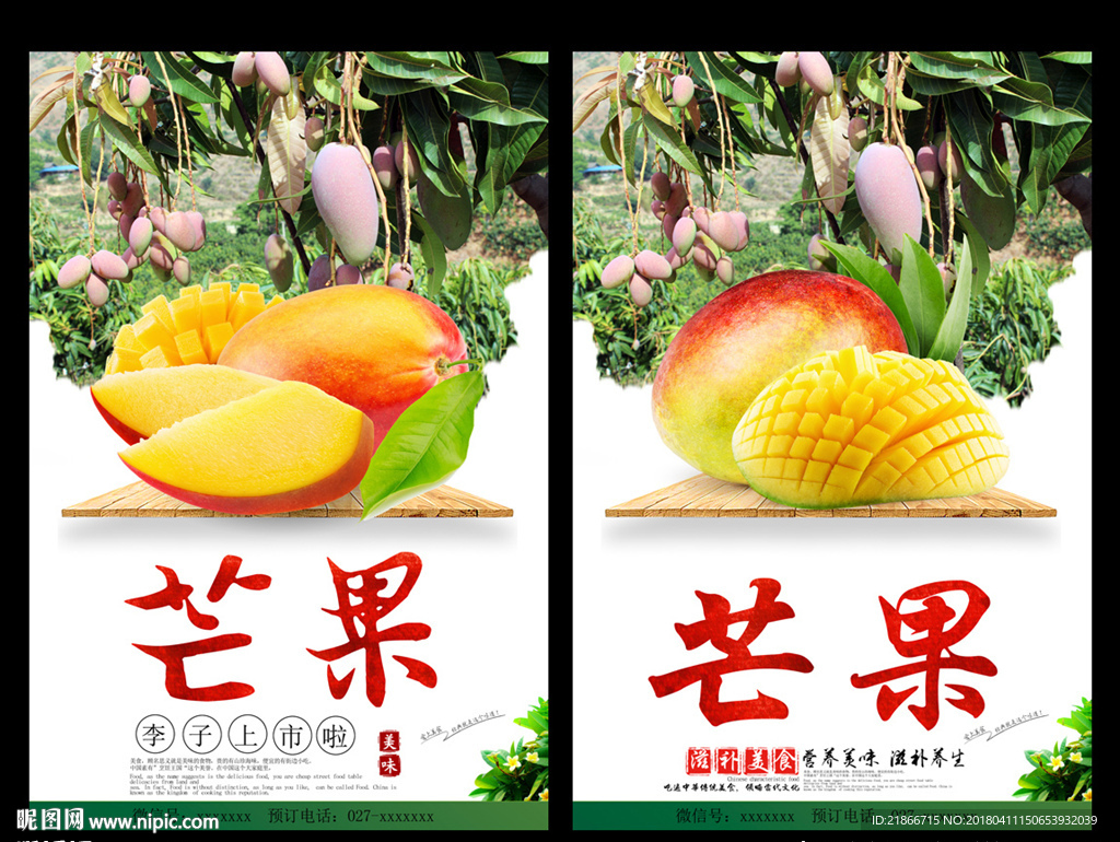 芒果