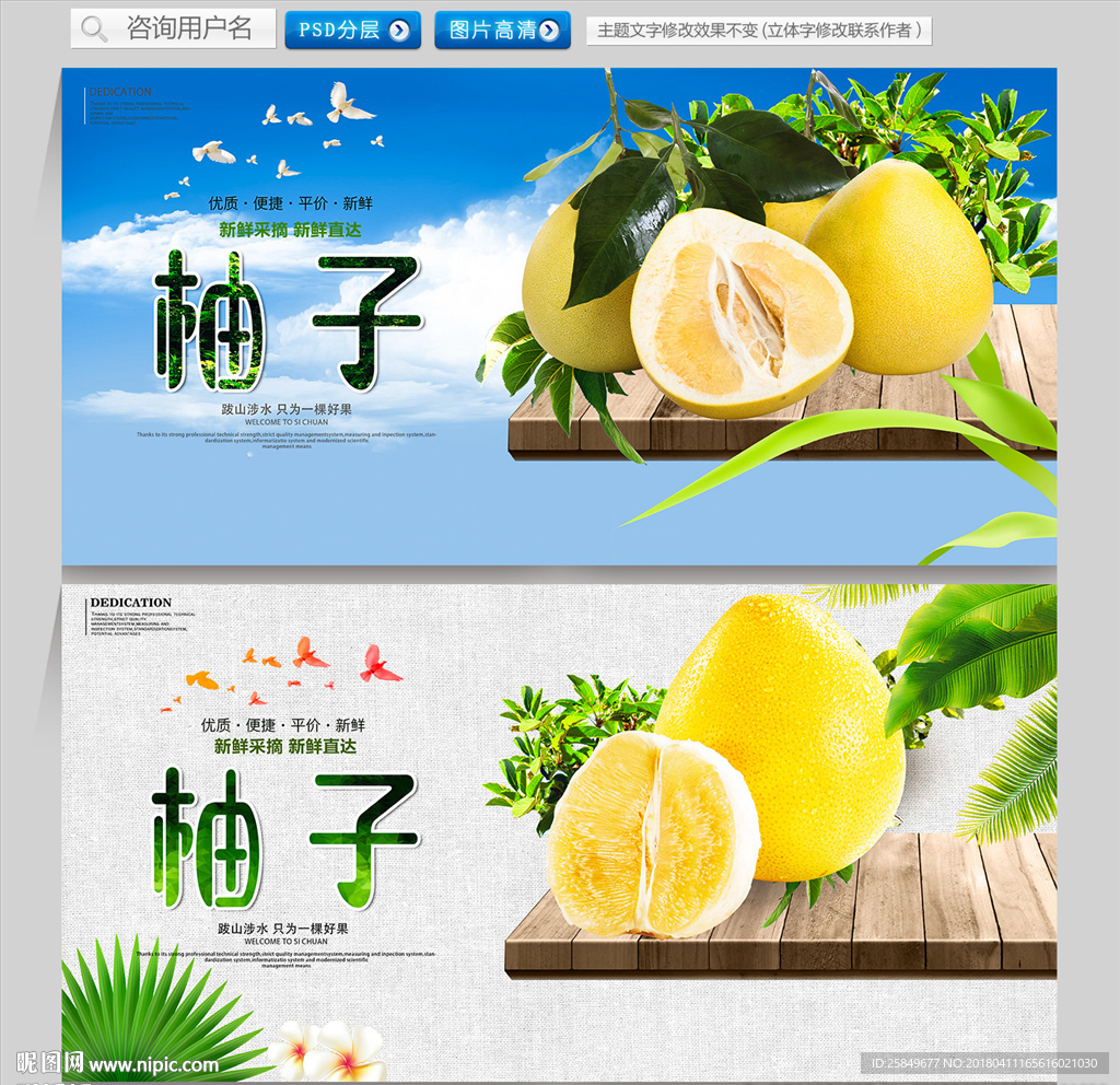 柚子