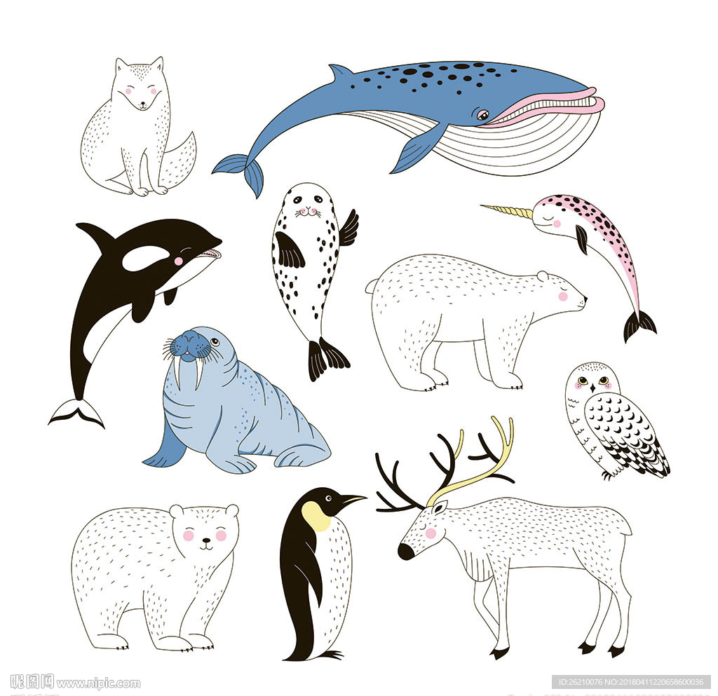 手绘南极动物矢量设计素材