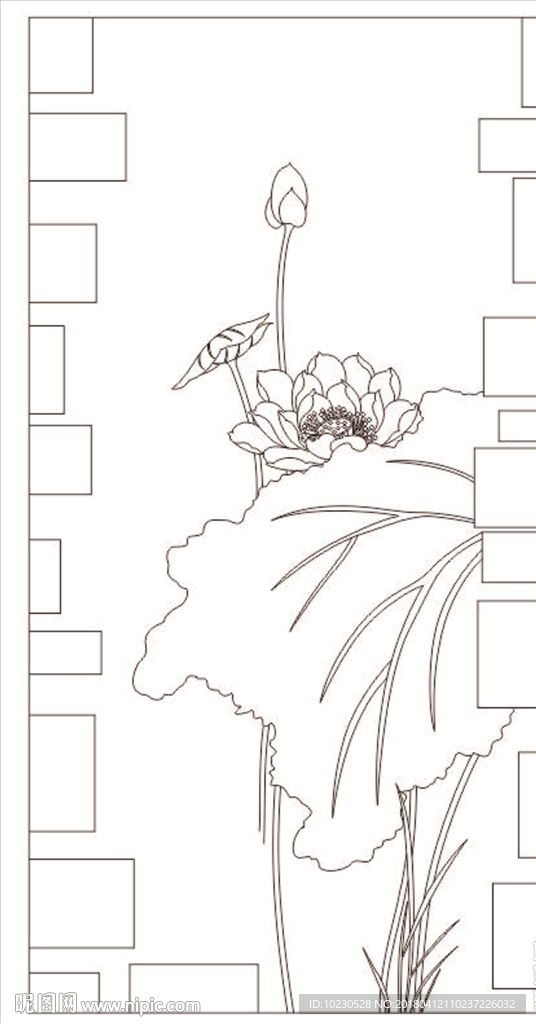 荷花