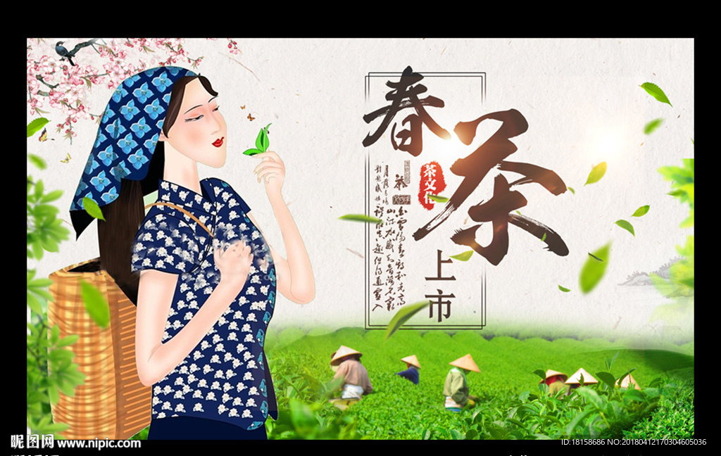 茶叶海报