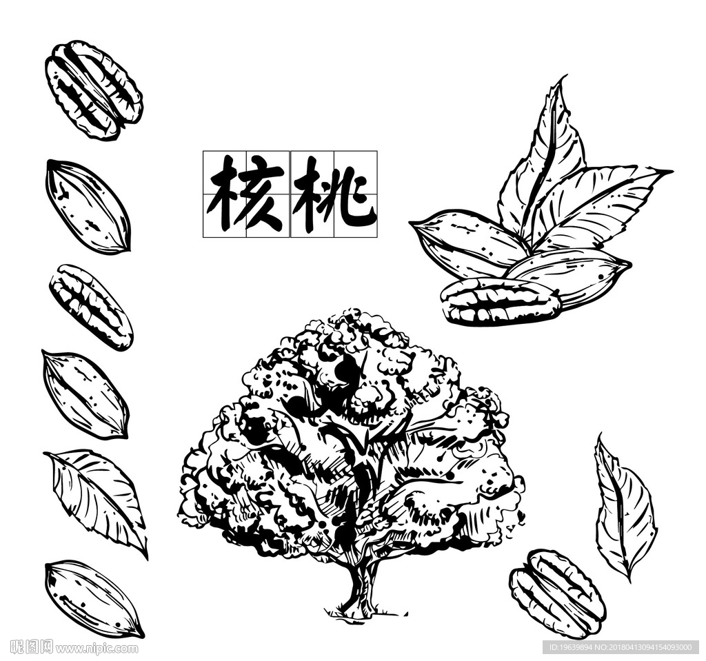 核桃