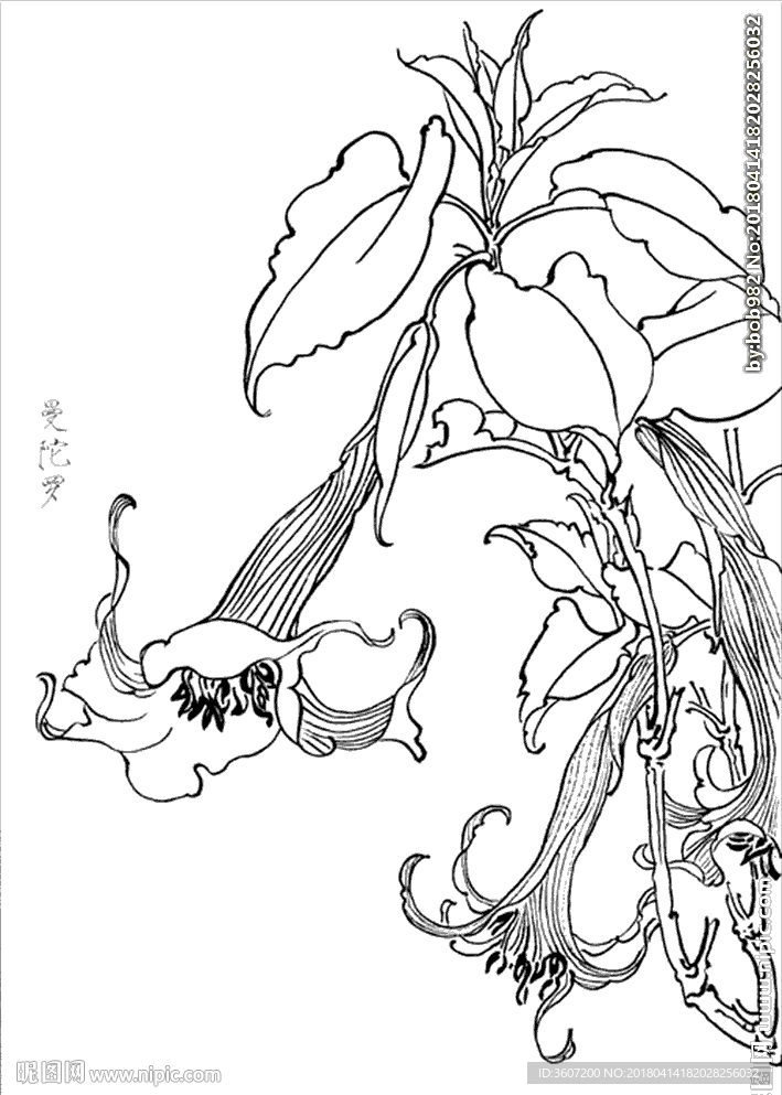曼陀罗线描 曼陀罗白描 曼陀罗