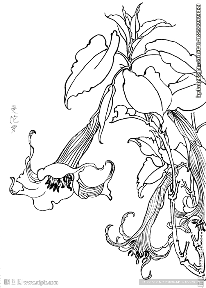 曼陀罗线描 曼陀罗白描 曼陀罗