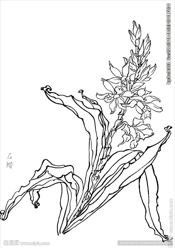 石蜡线描 石蜡白描 石蜡素描