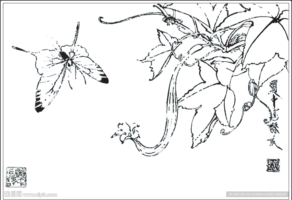 丝瓜线描 丝瓜白描 丝瓜素描