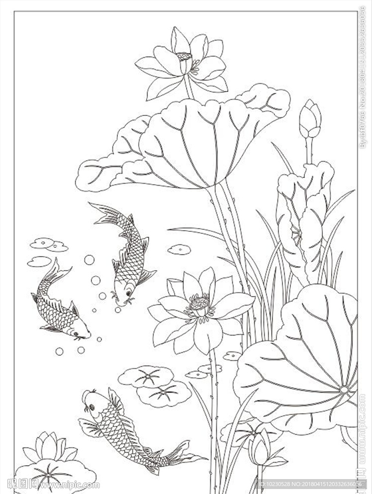 荷花鱼