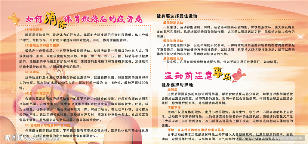 运动宣传栏
