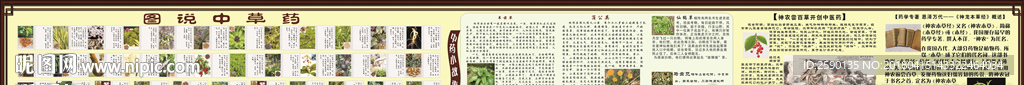图说中药