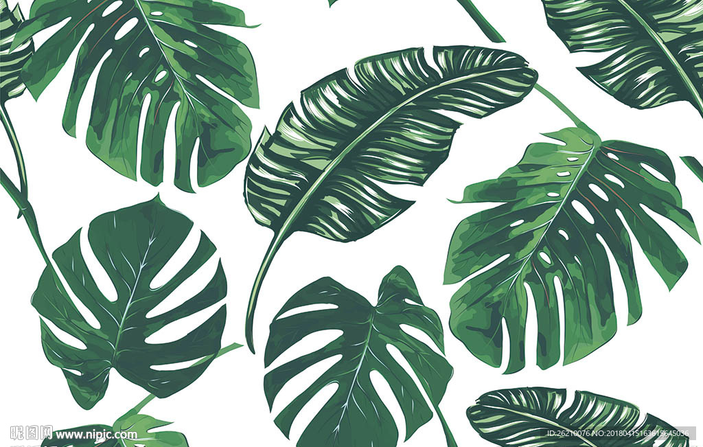 热带植物叶子矢量图案无缝墙纸