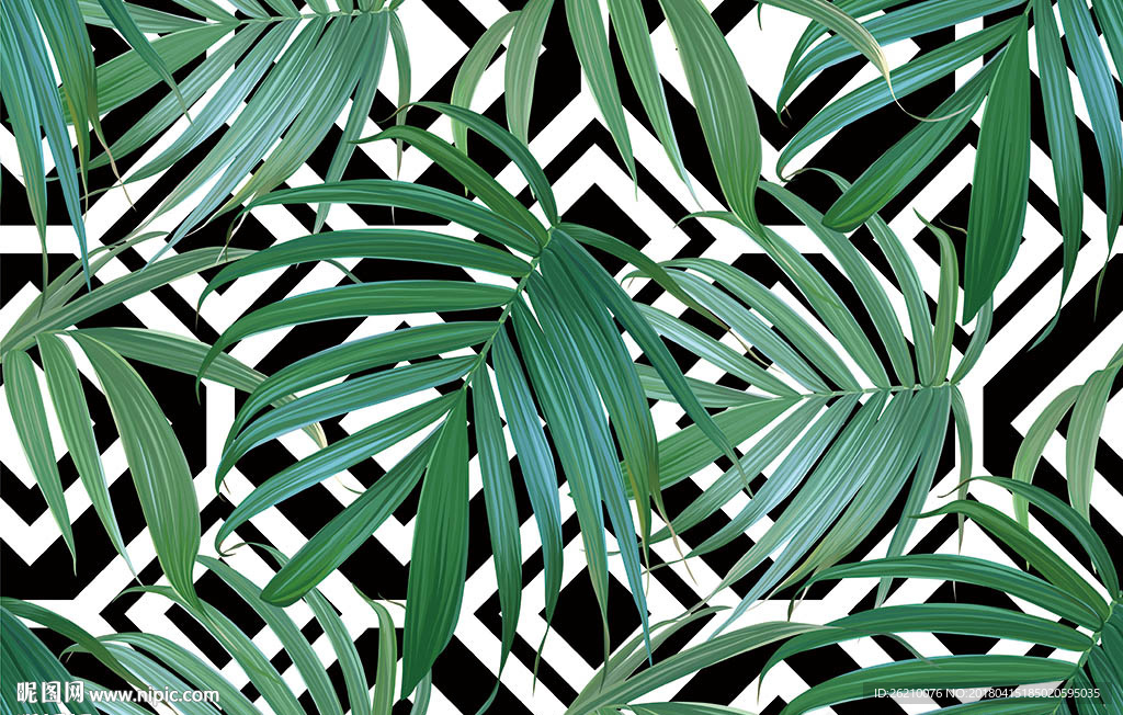 热带植物矢量抽象背景墙