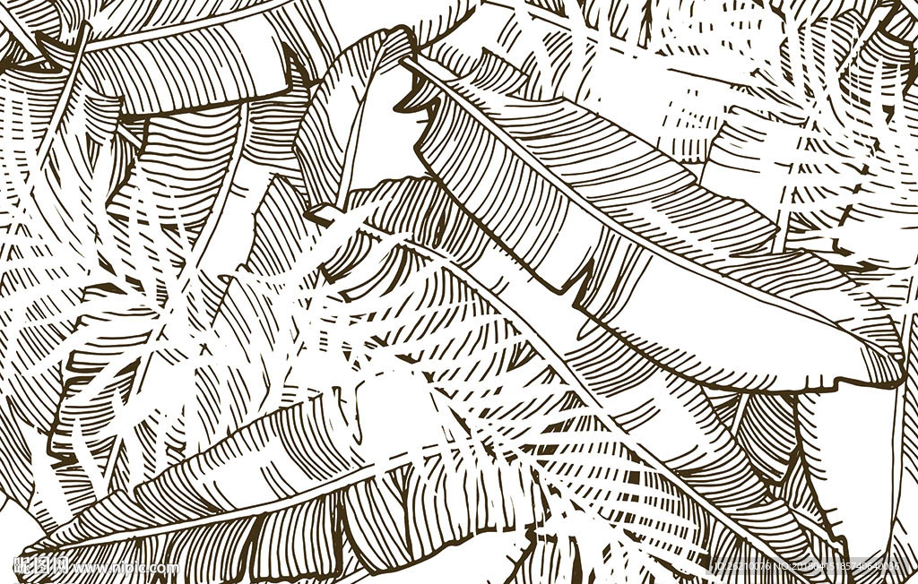 素描热带植物矢量背景墙