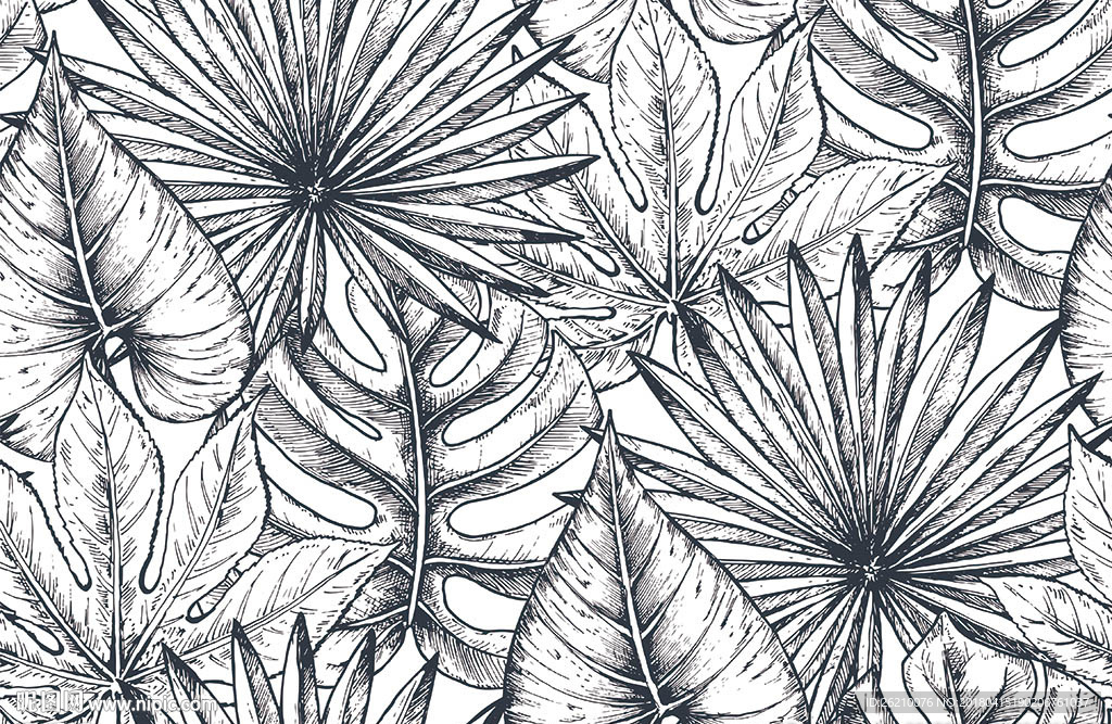 白描热带植物矢量无缝背景墙