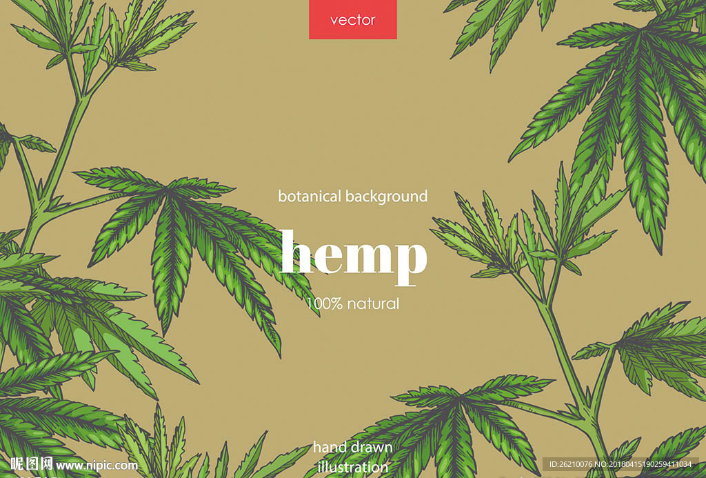 热带植物矢量背景墙