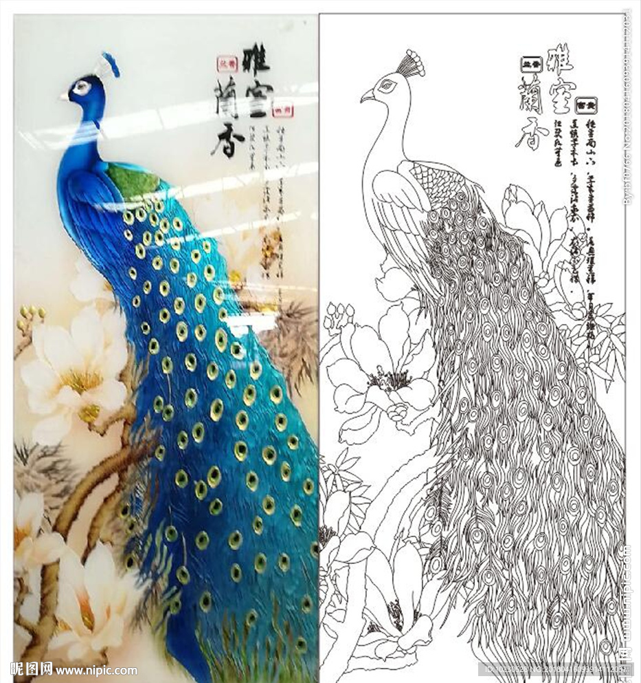 孔雀